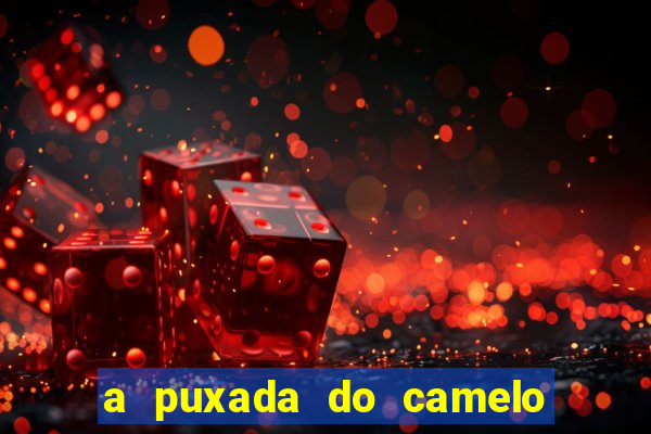 a puxada do camelo no jogo do bicho