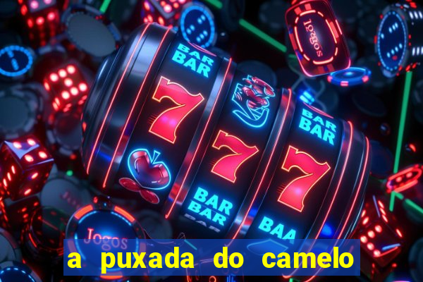 a puxada do camelo no jogo do bicho