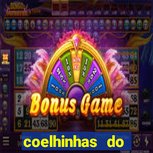 coelhinhas do brasil jp