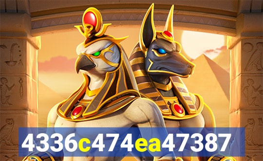 plataforma 6555bet