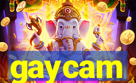 gaycam