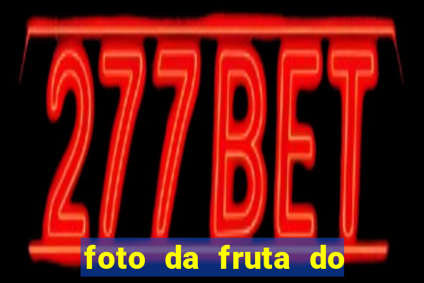 foto da fruta do blox fruits