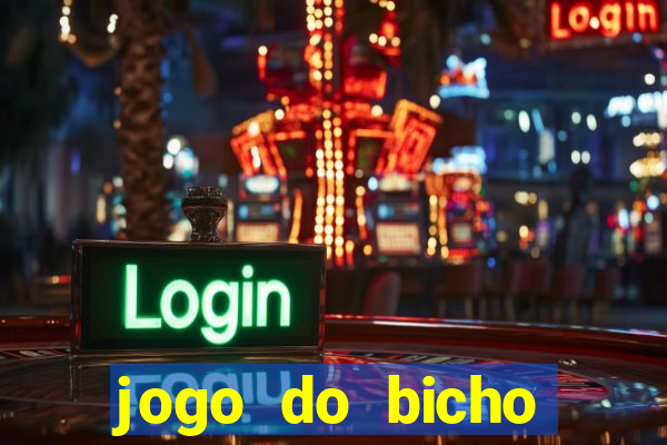 jogo do bicho crash bingo