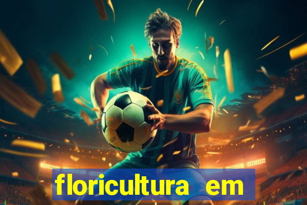 floricultura em lauro de freitas