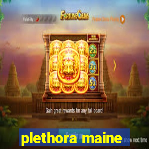 plethora maine