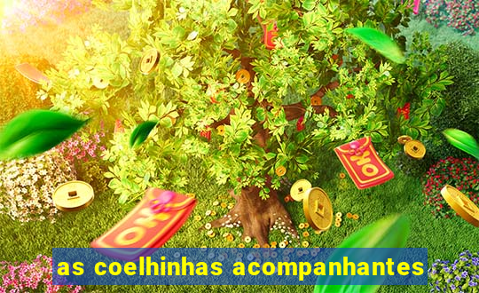 as coelhinhas acompanhantes