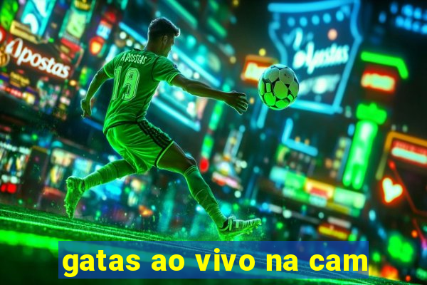 gatas ao vivo na cam