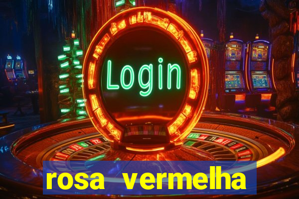 rosa vermelha (letra e cifra)