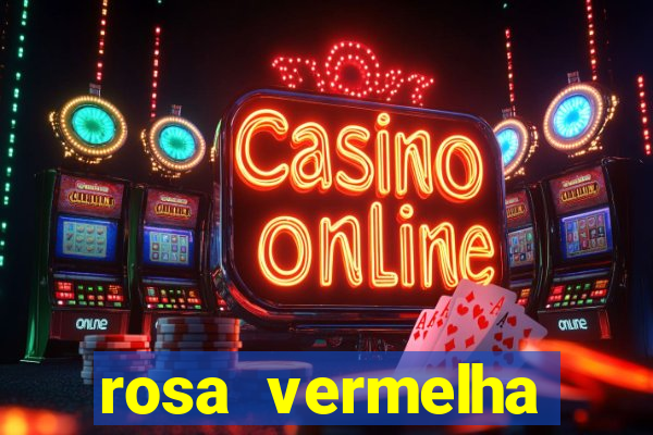 rosa vermelha (letra e cifra)
