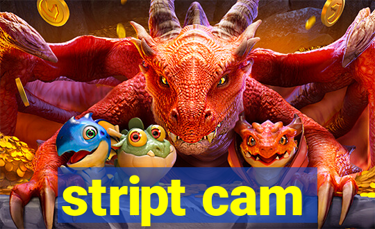 stript cam