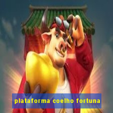 plataforma coelho fortuna