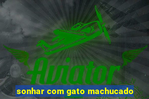 sonhar com gato machucado