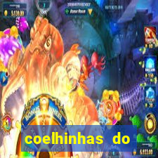 coelhinhas do brasil site