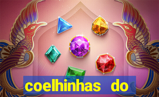 coelhinhas do brasil site