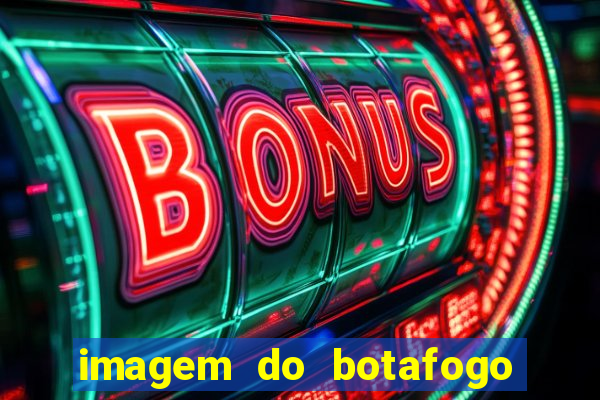 imagem do botafogo zuando o palmeiras