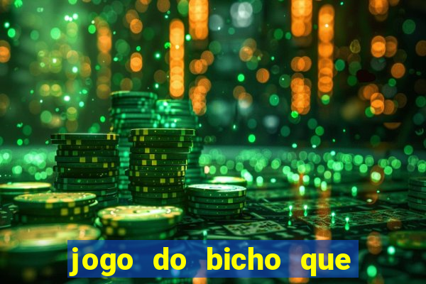 jogo do bicho que paga no pix