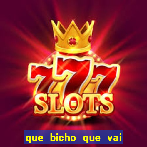 que bicho que vai dar hoje