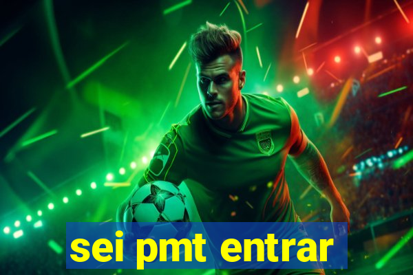 sei pmt entrar
