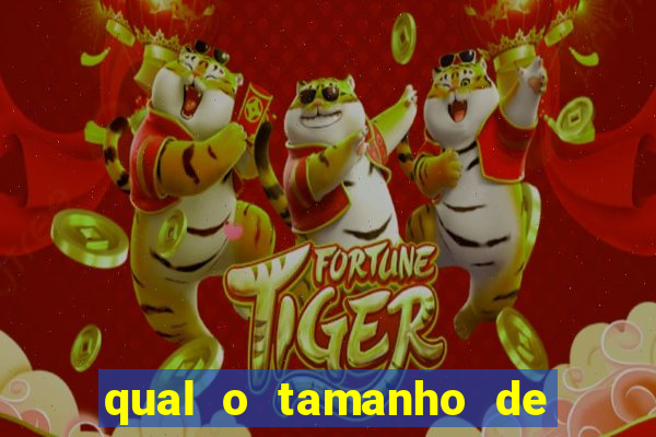 qual o tamanho de uma barra de ouro de 1kg