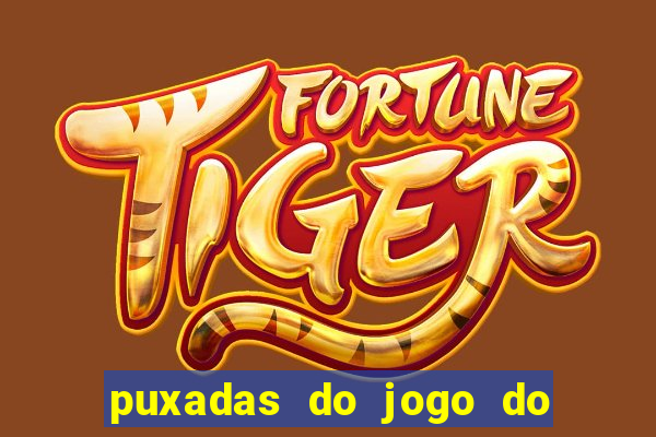 puxadas do jogo do bicho sueli