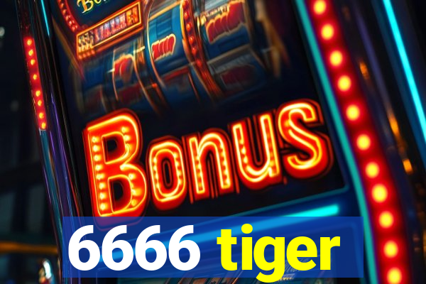 6666 tiger