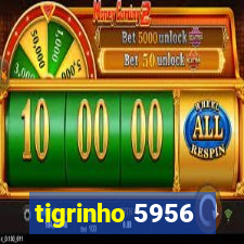 tigrinho 5956