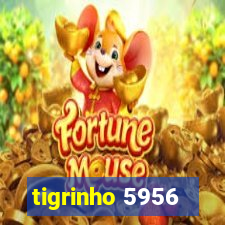 tigrinho 5956