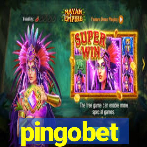 pingobet