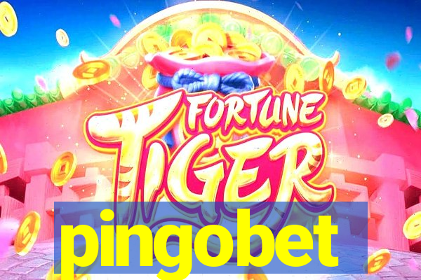 pingobet