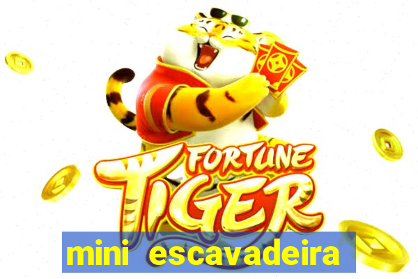 mini escavadeira aluguel rj