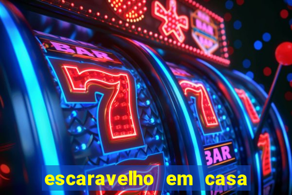 escaravelho em casa significado espiritual