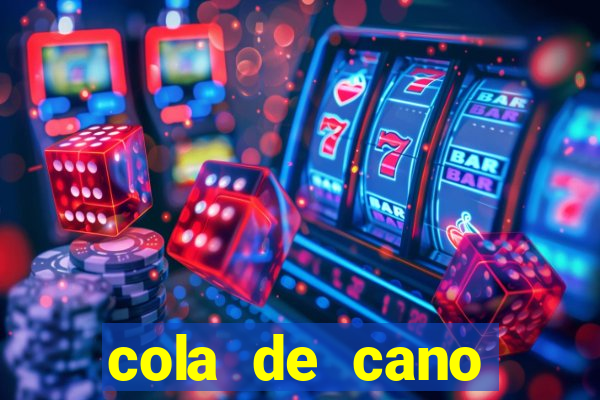 cola de cano quanto tempo para secar