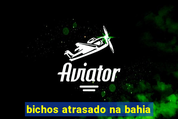 bichos atrasado na bahia