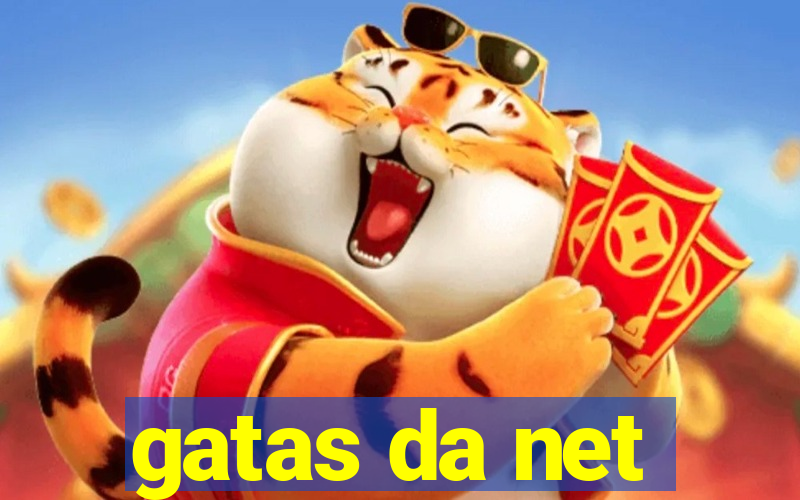 gatas da net