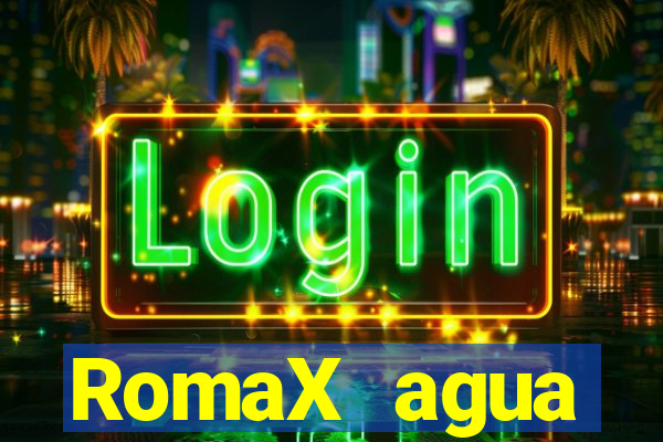 RomaX agua sanitaria fispq agua sanitaria romax