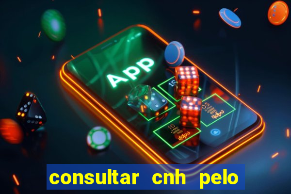 consultar cnh pelo cpf sp
