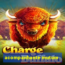 acompanhante mutum