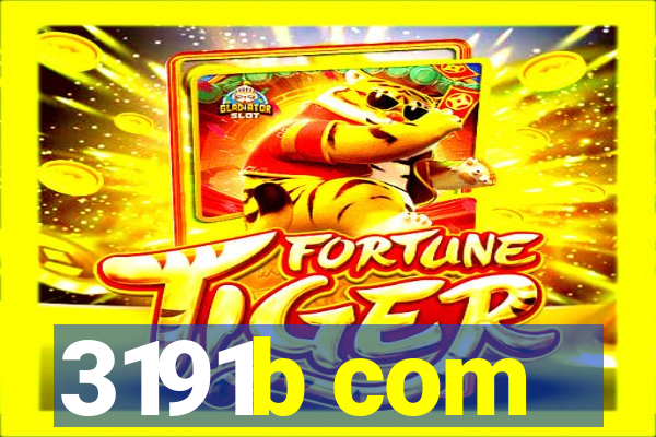 3191b com