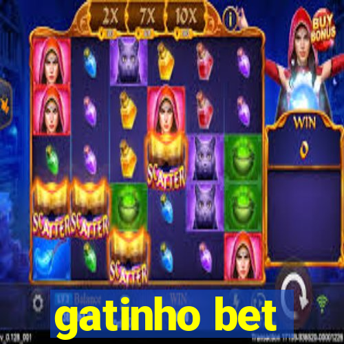 gatinho bet
