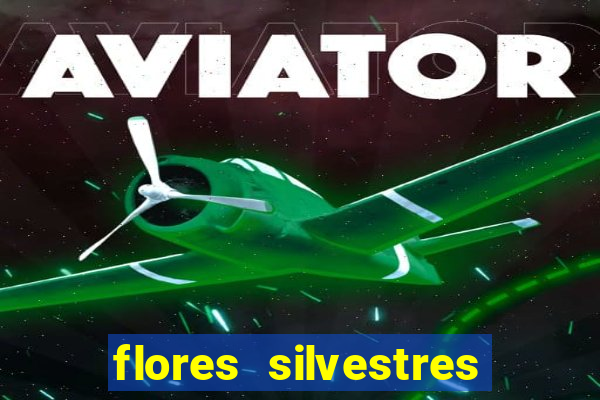 flores silvestres desbravadores desbravadores 25 flores silvestres e seus nomes