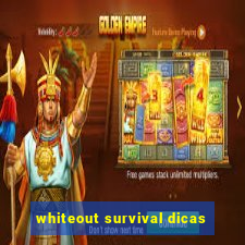 whiteout survival dicas