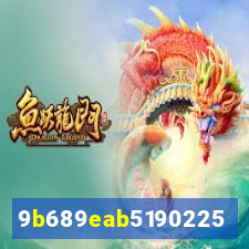144bet cassino