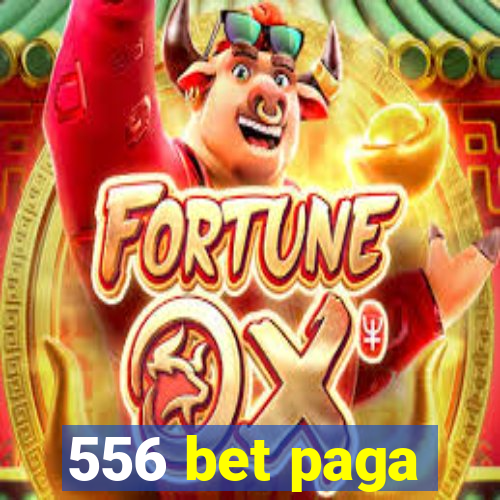 556 bet paga