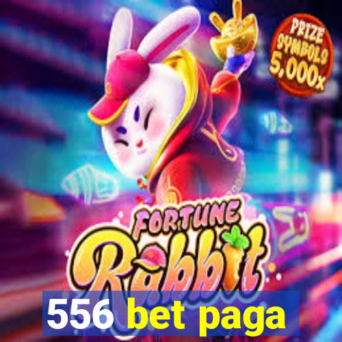 556 bet paga