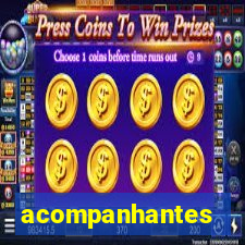 acompanhantes peludas em sp