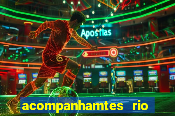 acompanhamtes rio de janeiro