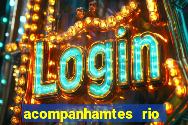 acompanhamtes rio de janeiro