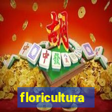 floricultura juazeiro bahia