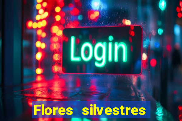 Flores silvestres brasileiras brasileiras flores silvestres nomes e imagens