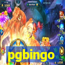 pgbingo